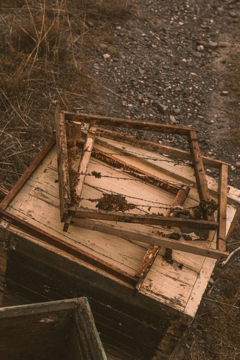 Close-up of old beehive frames on a wooden box in a rural outdoor setting.