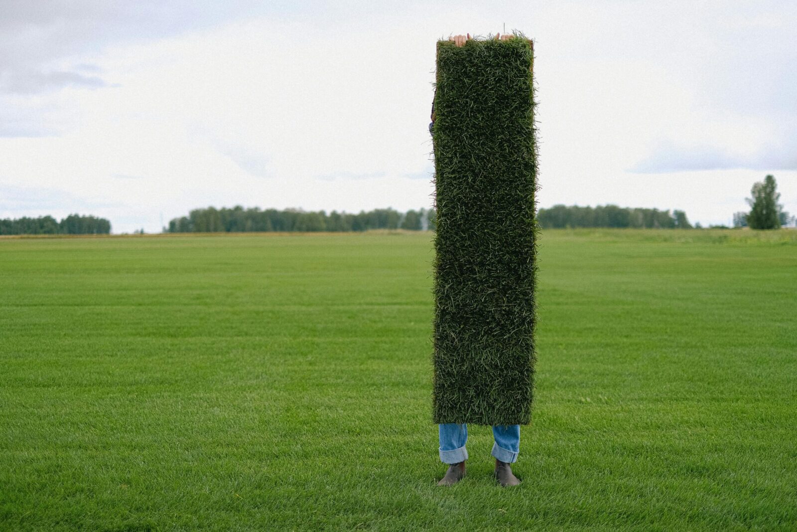 Full body of anonymous gardener with long green lawn sod in hands covering body standing on grassy terrain against cloudy sky during work