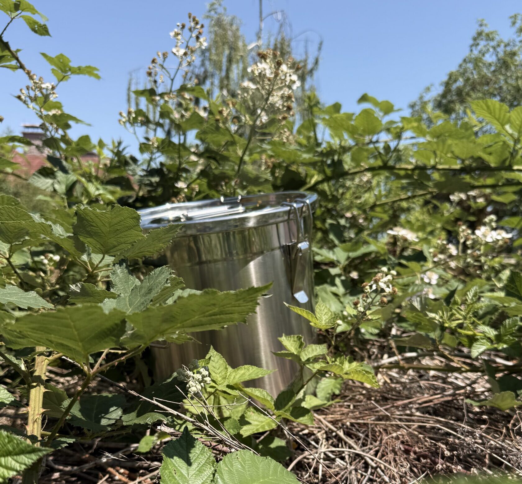 Edelstahltopf in Brombeeren